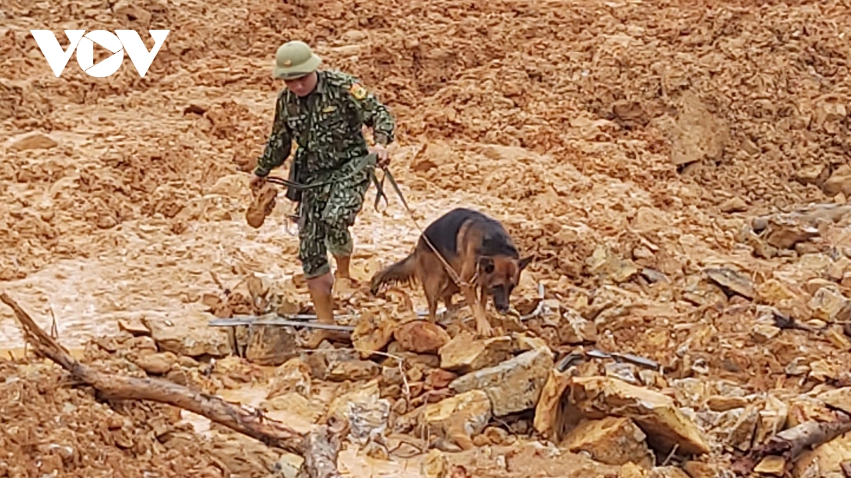 Rescue workers launch search for landslide victims in central Vietnam